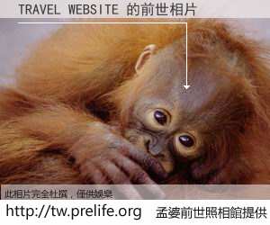 TRAVEL WEBSITE 的前世相片