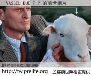 VASSEL DUE F ? 的前世相片