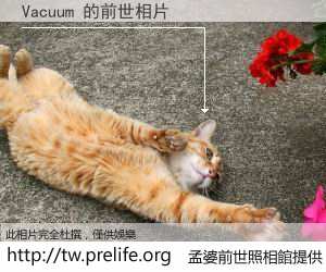 Vacuum 的前世相片