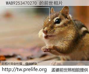 WAB9253470270 的前世相片