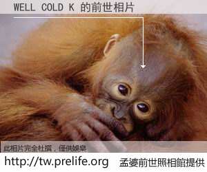WELL COLD K 的前世相片