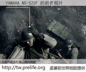 YAMAHA NS-525F 的前世相片
