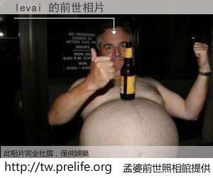levai 的前世相片