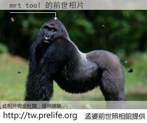mrt tool 的前世相片