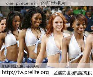 one piece wii 的前世相片