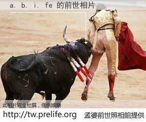 a. b. i. fe 的前世相片