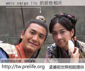 amic cargo llc 的前世相片