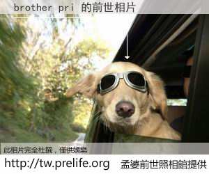 brother pri 的前世相片