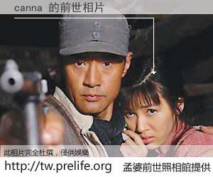 canna 的前世相片