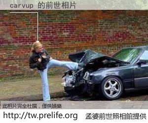 carvup 的前世相片