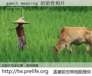 gamit meaning 的前世相片