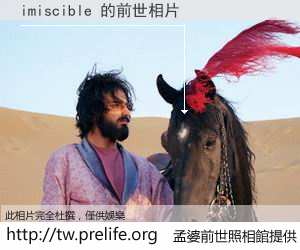 imiscible 的前世相片