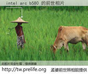 intel arc b580 的前世相片