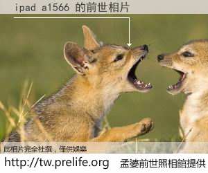 ipad a1566 的前世相片