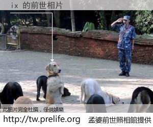 ix 的前世相片