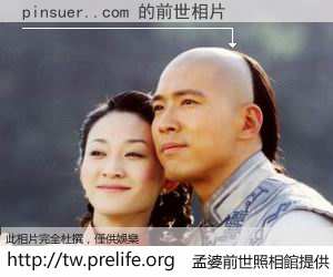 pinsuer..com 的前世相片