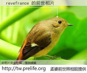 revefrance 的前世相片