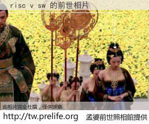 risc v sw 的前世相片