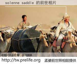 solenne saddle 的前世相片