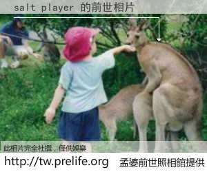 salt player 的前世相片