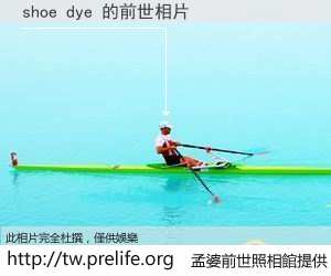 shoe dye 的前世相片