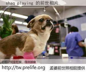 shaq playing 的前世相片