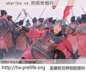 sharlks vs 的前世相片