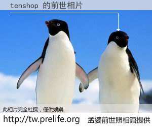 tenshop 的前世相片