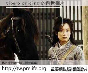 tibero pricing 的前世相片
