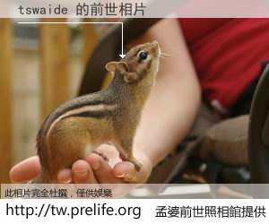 tswaide 的前世相片