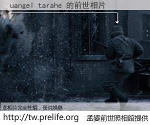 uangel tarahe 的前世相片