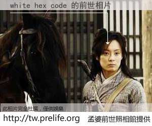 white hex code 的前世相片