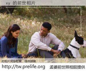 xy 的前世相片