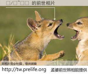 �/�~�� 的前世相片