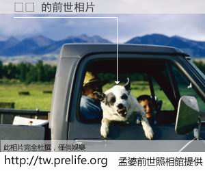 당시 的前世相片