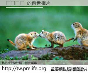 우수맨홀 的前世相片