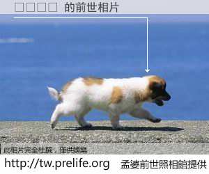 연양인구 的前世相片