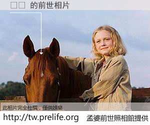 튜브 的前世相片