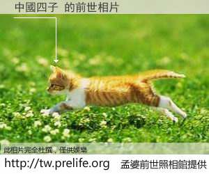 中國四子 的前世相片