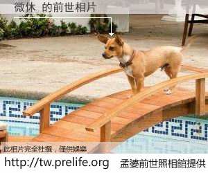 微休 的前世相片
