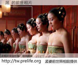 屌 的前世相片