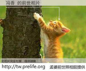 冯香 的前世相片