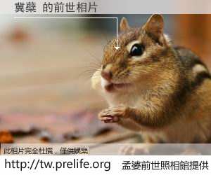 冀蘗 的前世相片