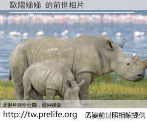 歐陽娣娣 的前世相片