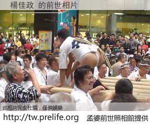 楊佳政 的前世相片