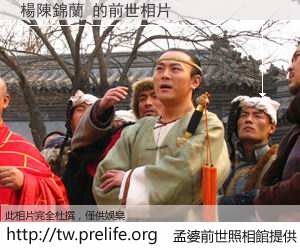 楊陳錦蘭 的前世相片