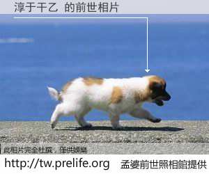 淳于干乙 的前世相片