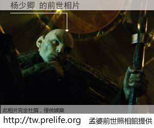 杨少卿 的前世相片