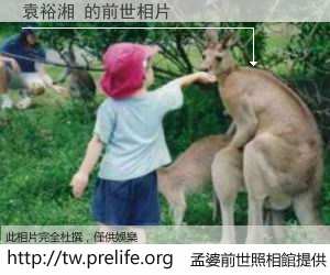 袁裕湘 的前世相片