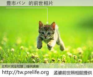 豊市パン 的前世相片